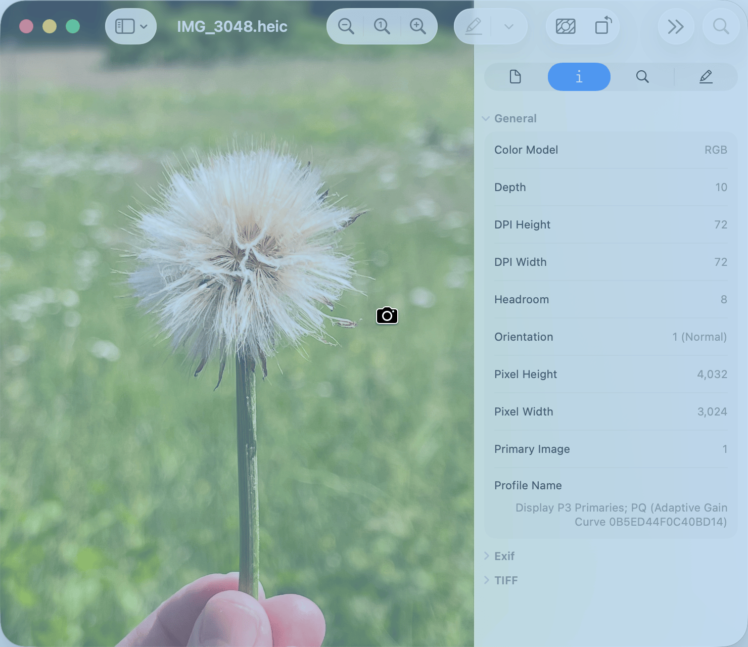 macOS window-capture mode: the pointer becomes a camera icon and the target window is highlighted in blue, ready to click and capture.